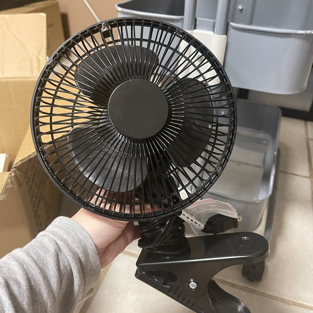 Fan